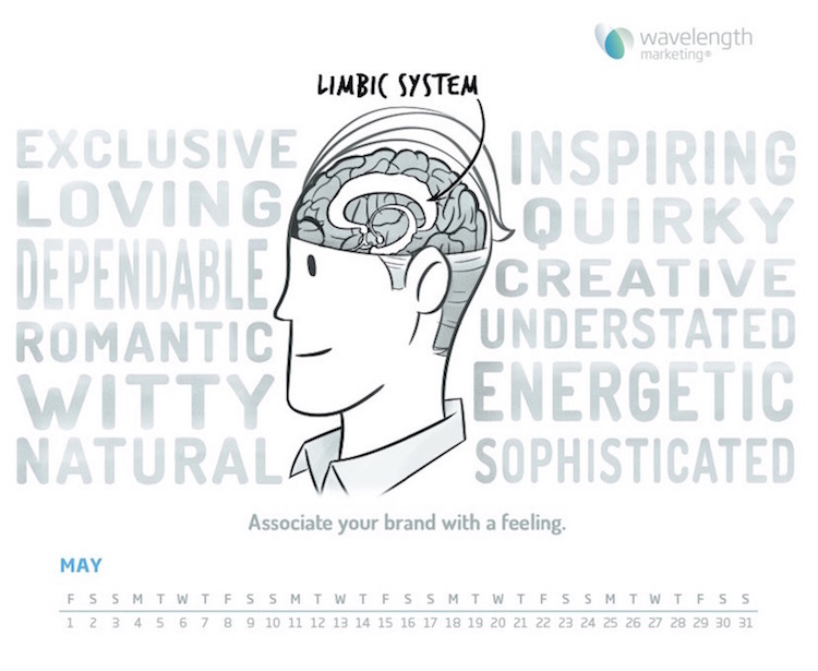 build a brand that connects with the limbic system